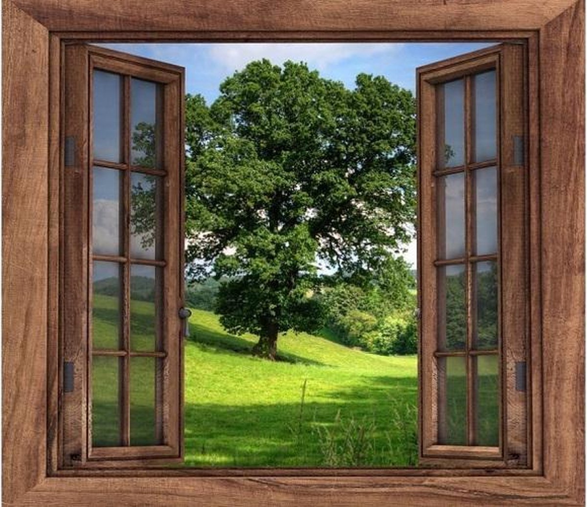 Window To The Forest Dart Diamond Painting